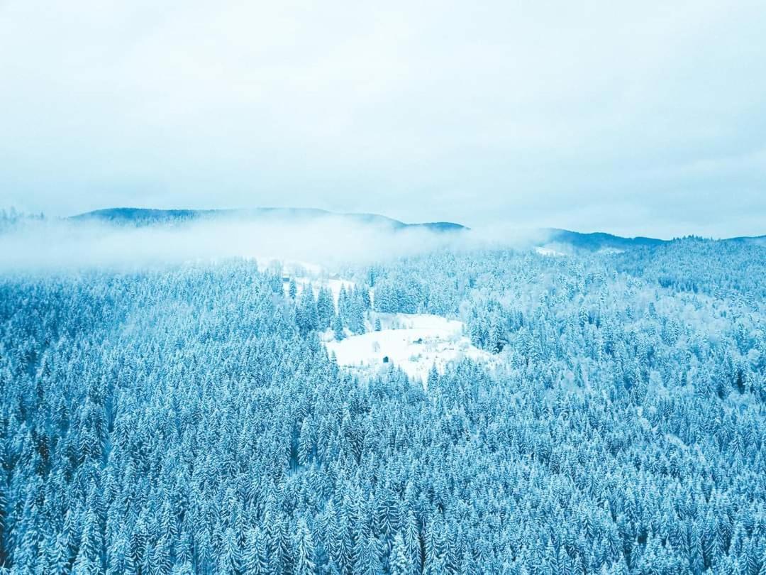 Villa Говерлянка à Vorokhta Extérieur photo