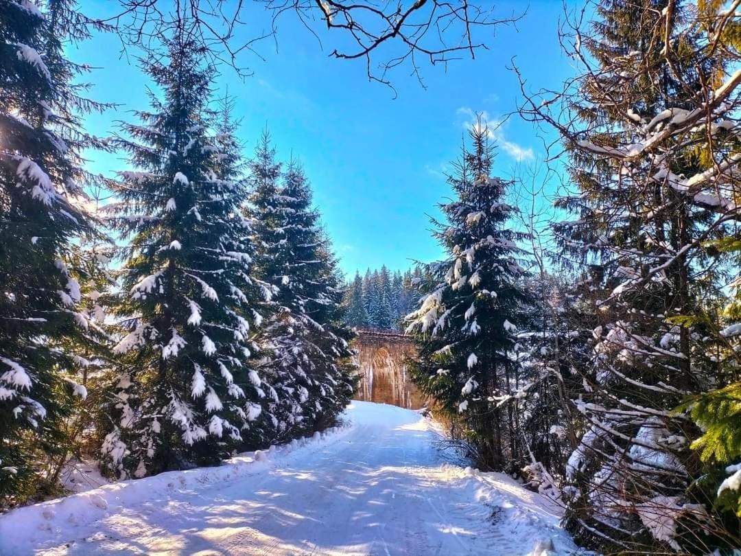 Villa Говерлянка à Vorokhta Extérieur photo
